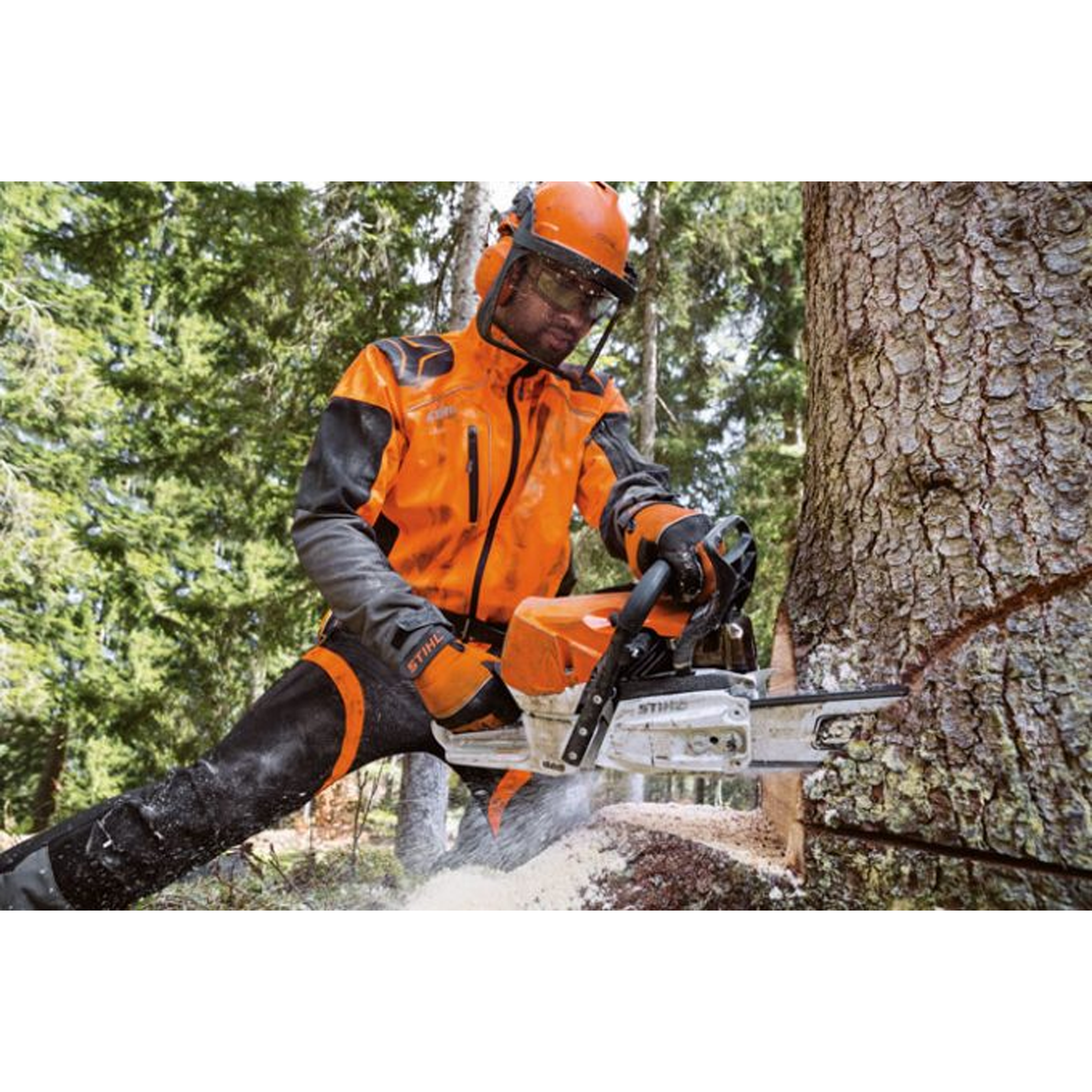 STIHL MS 462 Professional Chainsaw with 25 Inch bar and chain